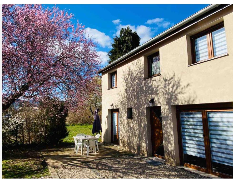 Gite Magnolia Chatenois Alsace Exterior photo